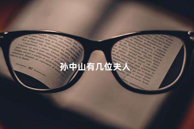 孙中山有几位夫人 